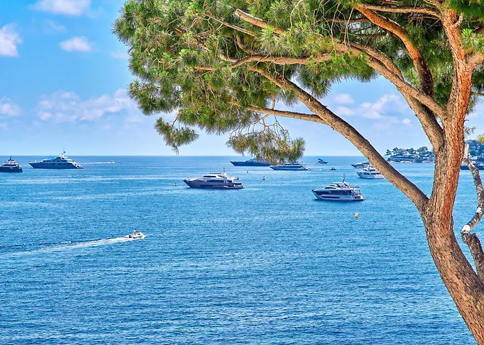 La Reserve De Beaulieu